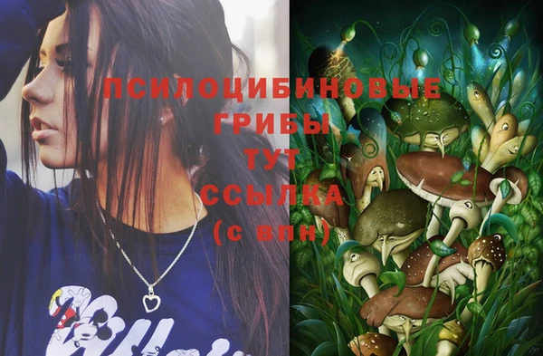 стафф Переславль-Залесский