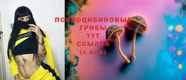 бошки Осинники