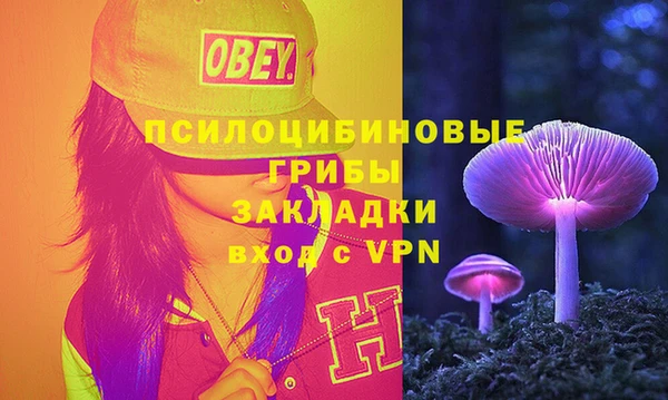 бошки Осинники