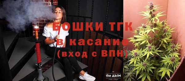 бошки Осинники