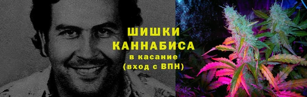 гашик Остров