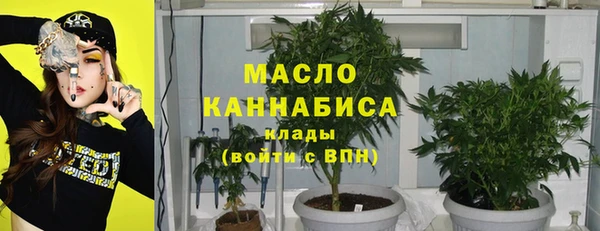 гашик Остров