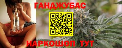 сатива Жуковский