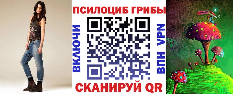 блэк спрут сайт  Лангепас  Псилоцибиновые грибы Psilocybe 