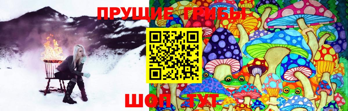 Лангепас  Псилоцибиновые грибы Psilocybe  Вход с VPN 